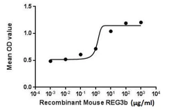 Mouse Reg3B protein, His tag (active). GTX00307-pro
