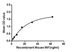 Mouse MIF protein, His tag. GTX00313-pro