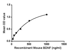 Mouse BDNF protein, His tag. GTX00322-pro