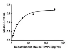 Mouse TIMP3 protein, His tag. GTX00324-pro