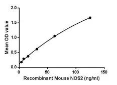 Mouse iNOS protein, His tag. GTX00325-pro