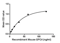 Mouse Glypican 4 protein, His tag. GTX00330-pro