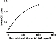 Mouse Annexin A1 protein, His tag. GTX00335-pro