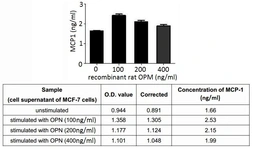 Rat Osteopontin protein, His tag (active). GTX00349-pro