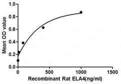 Rat CTRC protein, His tag. GTX00353-pro