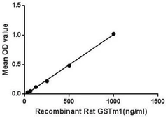 Rat GSTM1 protein, His tag. GTX00356-pro