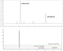 Rat PAM protein, His tag (active). GTX00374-pro