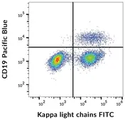 Mouse Anti-Human kappa light chain antibody [TB28-2] (FITC). GTX00506-06