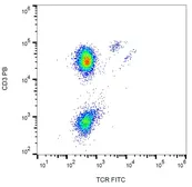 Anti-TCR gamma + delta antibody [B1] (FITC) used in Flow cytometry (FCM). GTX00507-06
