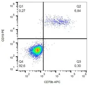 Anti-CD79b antibody [CB3-1] (APC) used in Flow cytometry (FCM). GTX00527-07