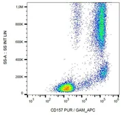 Anti-BST1 antibody [SY11B5] used in Flow cytometry (FCM). GTX00541