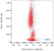 Anti-CD34 antibody [QBEnd/10] (Azide Free) used in Flow cytometry (FCM). GTX00618-00