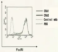 Anti-Fc epsilon R1 alpha antibody [CRA2] used in Flow cytometry (FCM). GTX00712