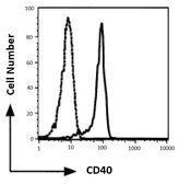 Anti-CD40 antibody [5C3] used in Flow cytometry (FCM). GTX00875