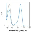 Anti-CD27 antibody [O323] (PE) used in Flow cytometry (FACS). GTX01457-08
