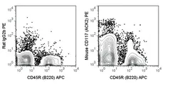 Anti-c-Kit antibody [ACK2] (PE) used in Flow cytometry (FCM). GTX01469-08