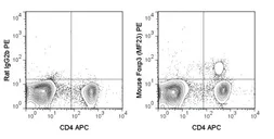 Anti-FOXP3 antibody [MF23] (PE) used in Flow cytometry (FCM). GTX01488-08