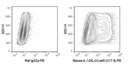 Anti-IL12B / IL12 p40 antibody [C17-8] (PE) used in Flow cytometry (FCM). GTX01491-08