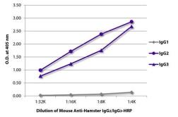 Mouse Anti-Armenian Hamster IgG2/IgG3 antibody [SB139e] (HRP). GTX02568