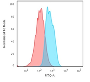 Anti-E-Cadherin antibody [CDH1/2208R] used in Flow cytometry (FCM). GTX02618