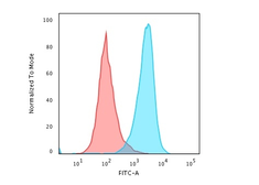 Anti-CD45RB antibody [PTPRC/1783R] used in Flow cytometry (FCM). GTX02698