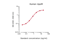 Anti-Apolipoprotein M antibody [M5] used in ELISA (ELISA). GTX02911