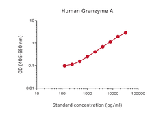 Anti-Granzyme A antibody [GA28] (Biotin) used in ELISA (ELISA). GTX02921-02