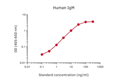 Mouse Anti-Human IgM antibody [MT11 + MT12]. GTX03024