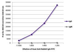 Goat Anti-Rabbit IgG antibody, pre-adsorbed (FITC). GTX03116