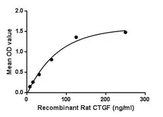 Rat CTGF protein, His and GST tag (active). GTX03797-pro