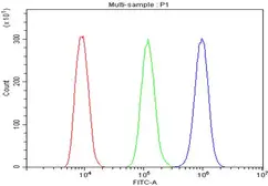Anti-LONP1 antibody used in Flow cytometry (FCM). GTX03806