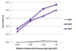 Mouse Anti-Armenian Hamster IgG2+IgG3 antibody [SB139e] (Biotin). GTX04118-02