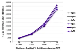 Goat Anti-Human lambda light chain antibody, F(ab')2 fragment, pre-adsorbed (FITC). GTX04135-06