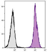 Mouse Anti-Rat IgG2b antibody [2B10A8] (PE). GTX04141-08