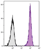 Mouse Anti-Rat IgG2b antibody [2B10A8] (Cy5). GTX04141-24