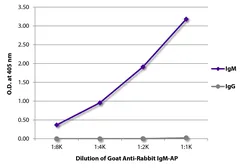 Goat Anti-Rabbit IgM (Mu chain) antibody, pre-adsorbed (AP). GTX04146-03