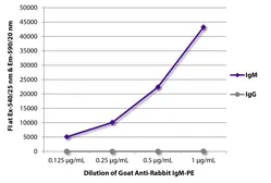 Goat Anti-Rabbit IgM (Mu chain) antibody, pre-adsorbed (PE). GTX04146-08