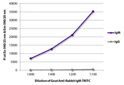 Goat Anti-Rabbit IgM (Mu chain) antibody, pre-adsorbed (TRITC). GTX04146-25