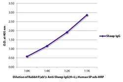 Rabbit Anti-Sheep IgG antibody, F(ab')2 fragment, pre-adsorbed (HRP). GTX04157-01