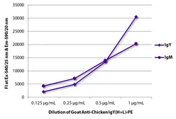 Goat Anti-Chicken IgY antibody, pre-adsorbed (PE). GTX04162-08