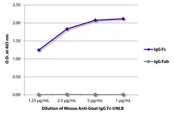 Mouse Anti-Goat IgG (Fc) antibody [SB115d]. GTX04167