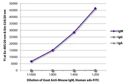 Goat Anti-Mouse IgM (Mu chain) antibody, pre-adsorbed (FITC). GTX04192-06