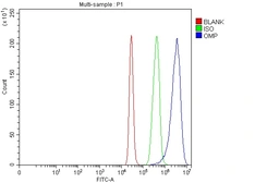 Anti-OMP antibody used in Flow cytometry (FCM). GTX04312