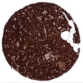 Anti-CPA1 antibody [MSVA-601M] HistoMAX&trade; used in IHC (Paraffin sections) (IHC-P). GTX04433