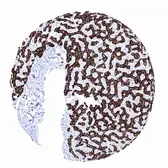 Anti-Hepatocyte Specific Antigen antibody [MSVA-OCE5] HistoMAX&trade; used in IHC (Paraffin sections) (IHC-P). GTX04478