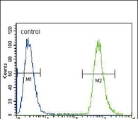 Anti-NEU2 antibody used in Flow cytometry (FCM). GTX05157