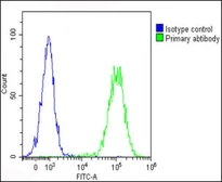 Anti-HHLA2 antibody used in Flow cytometry (FCM). GTX05203