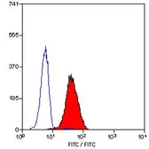 Anti-Leukotriene B4 Receptor antibody [202/7B1] used in Flow cytometry (FCM). GTX11205