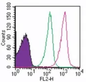 Anti-TLR8 antibody [44C143] used in Flow cytometry (FCM). GTX12120