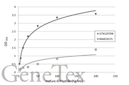 Anti-C-Peptide antibody used in ELISA (ELISA). GTX129708